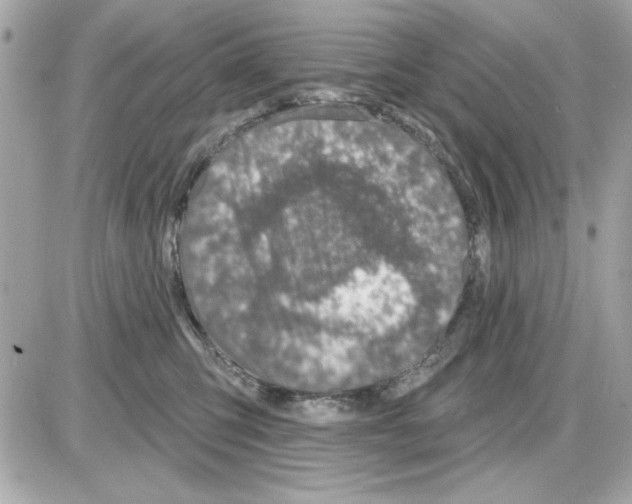 X0000085260423200704092119