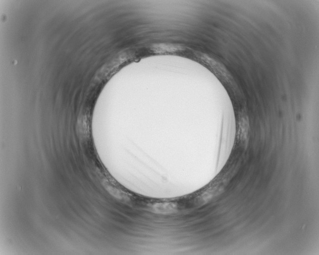 X0000085260426200704092119