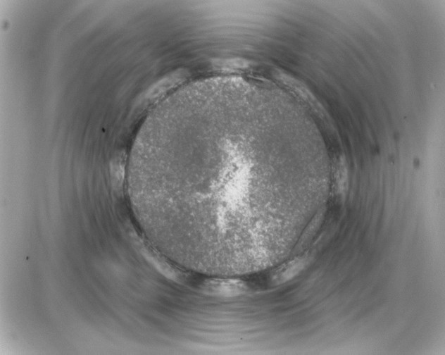 X0000085260427200704092119