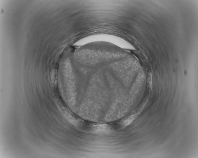 X0000085260428200704092119