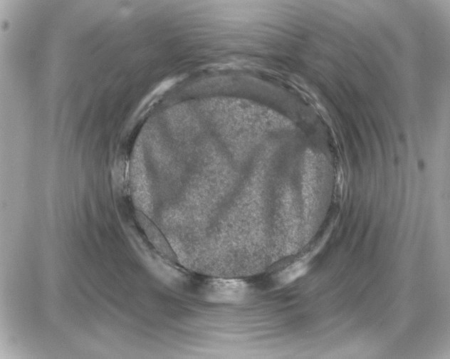 X0000085260429200704092119