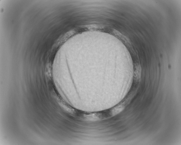 X0000085260430200704092119