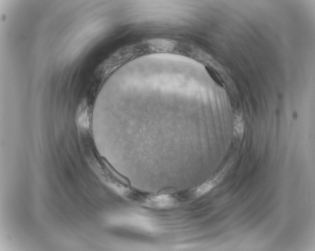 X0000085260431200704092119