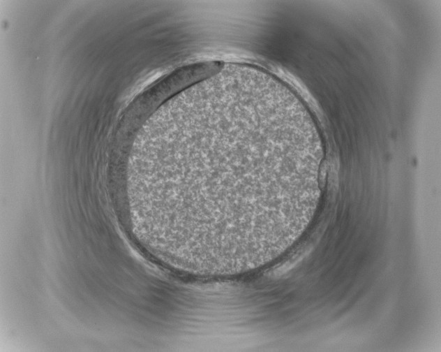 X0000085260433200704092118