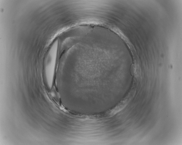 X0000085260434200704092118