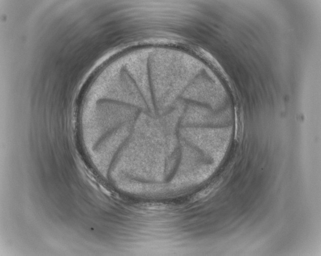 X0000085260435200704092118