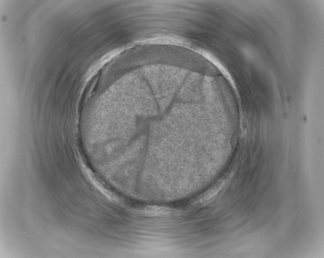 X0000085260437200704092118