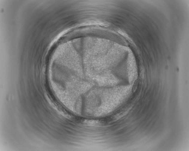 X0000085260440200704092118