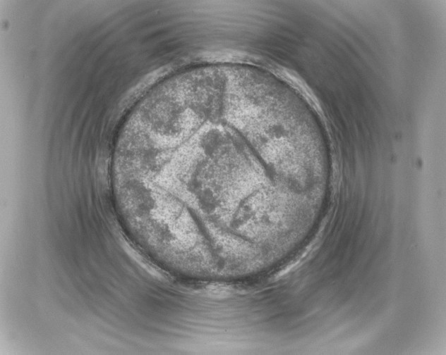 X0000085260441200704092118