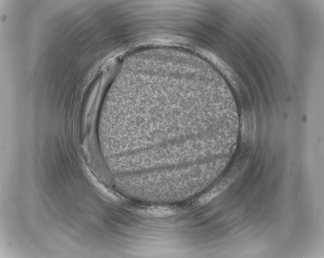 X0000085260445200704092118