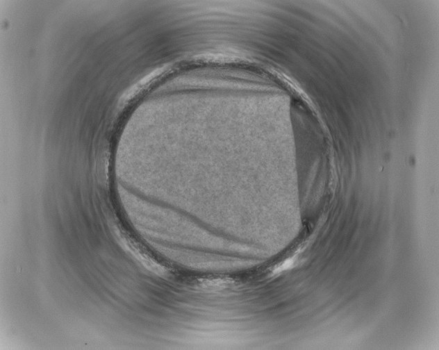 X0000085260446200704092118