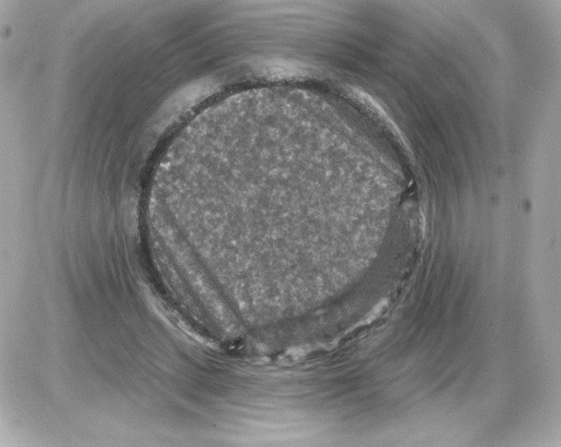 X0000085260447200704092118