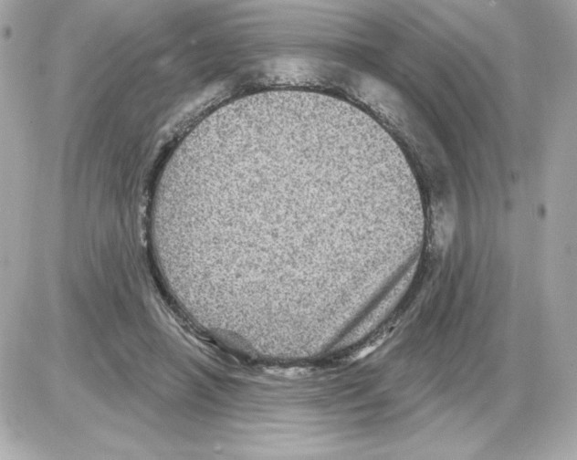 X0000085260450200704092118