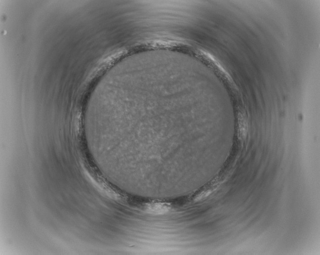 X0000085260451200704092118