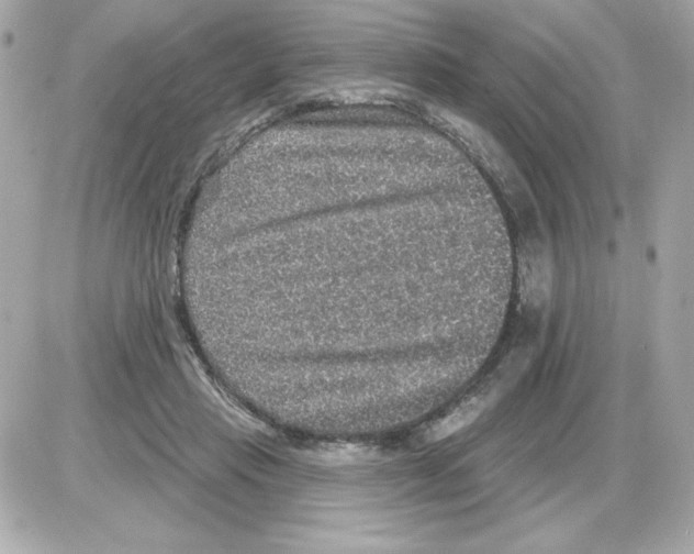 X0000085260453200704092119