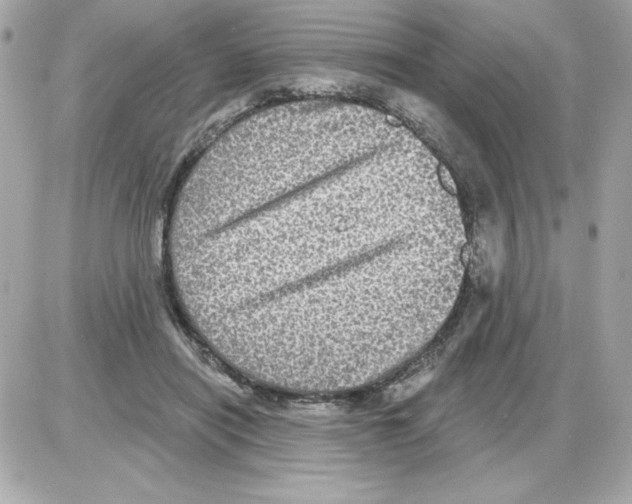 X0000085260454200704092119