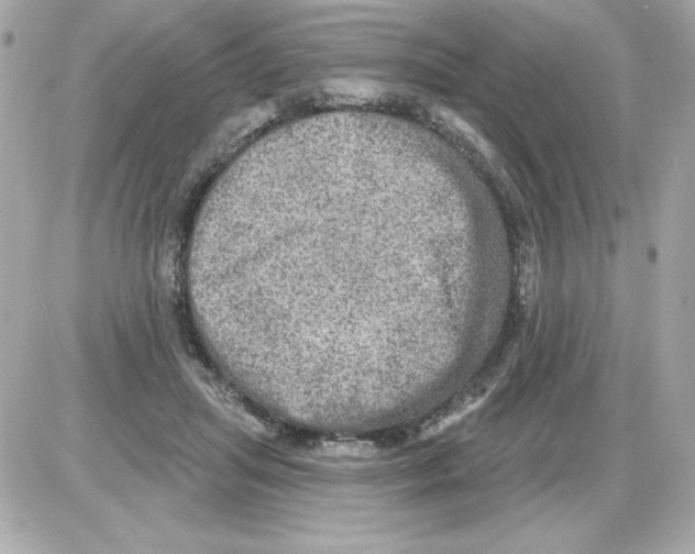 X0000085260455200704092119