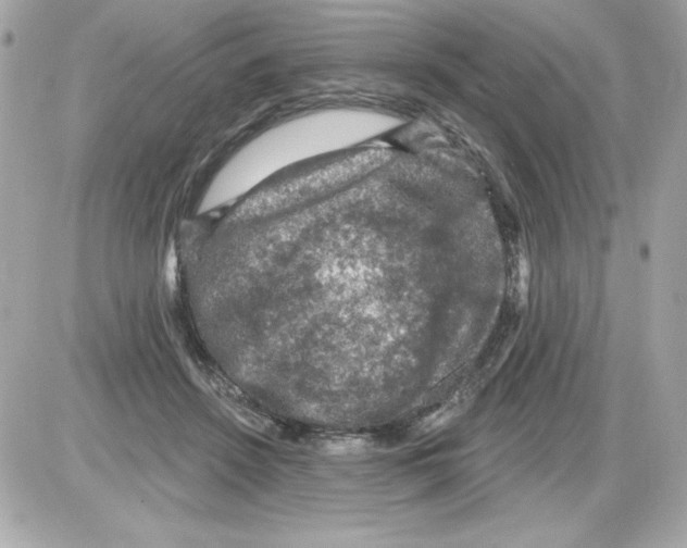 X0000085260456200704092119