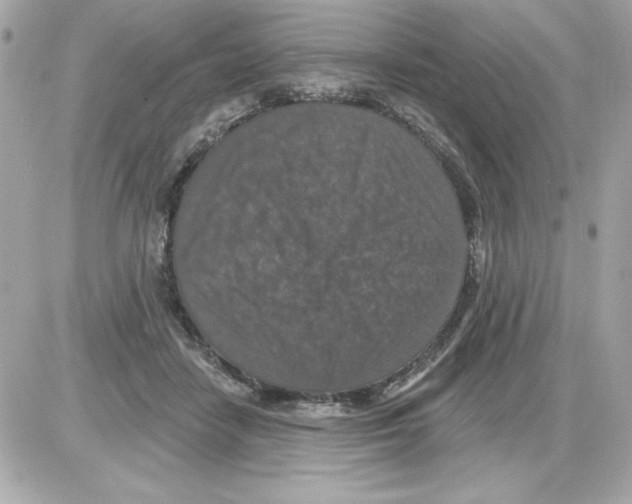 X0000085260458200704092119