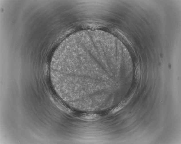 X0000085260459200704092119