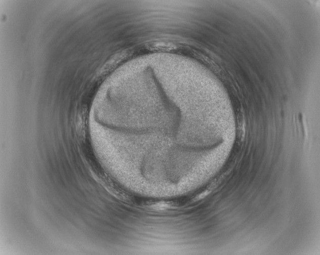 X0000085260460200704092119