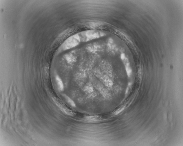 X0000085260461200704092119