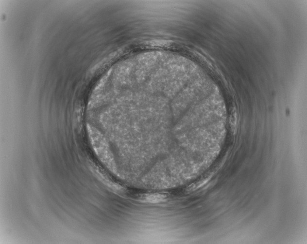 X0000085260462200704092119