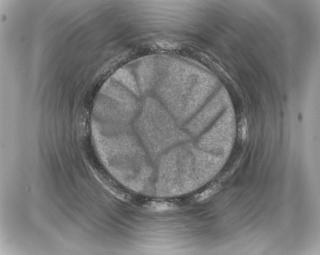 X0000085260464200704092119