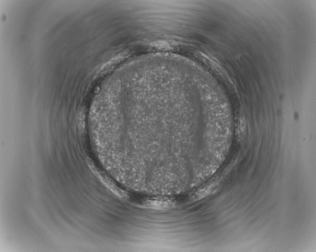 X0000085260466200704092119