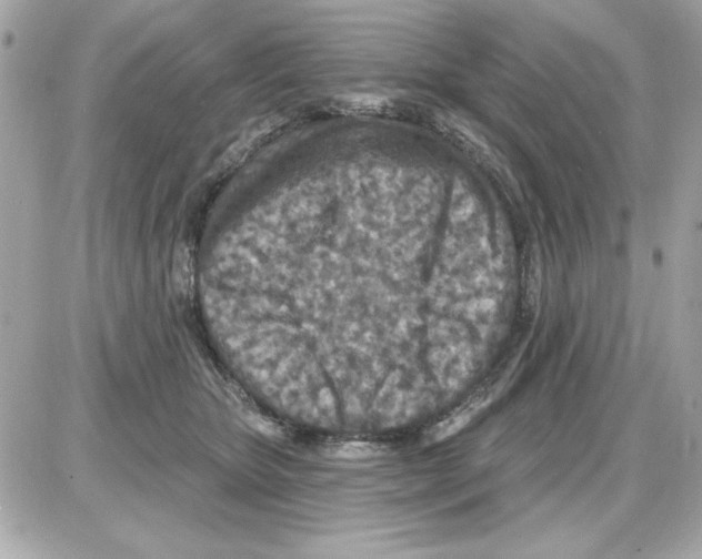 X0000085260467200704092119