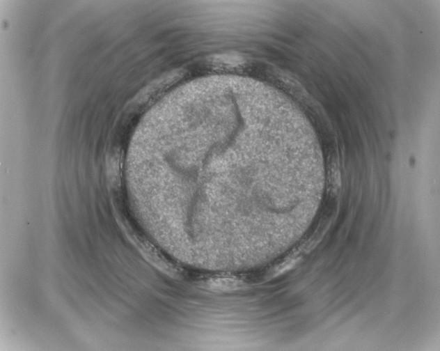 X0000085260468200704092119