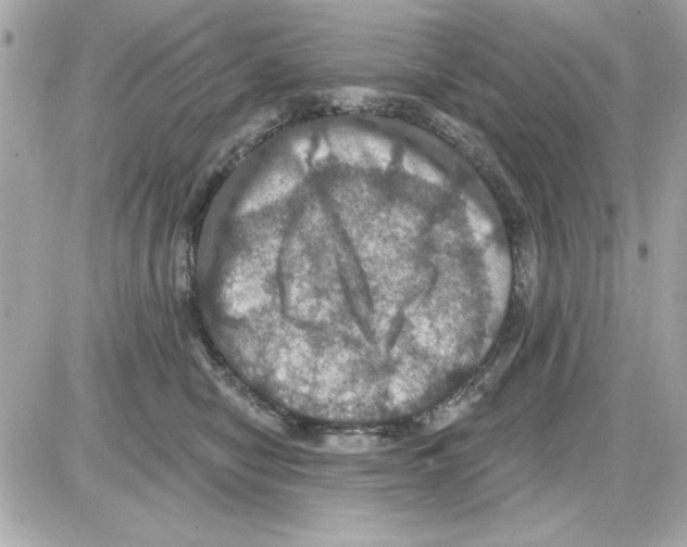 X0000085260470200704092119