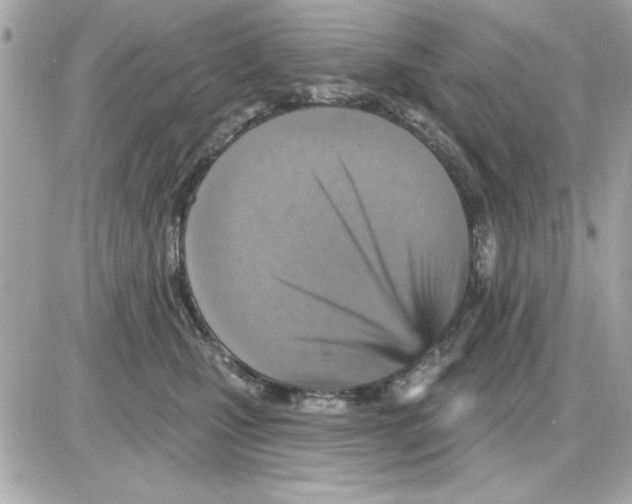 X0000085260471200704092119