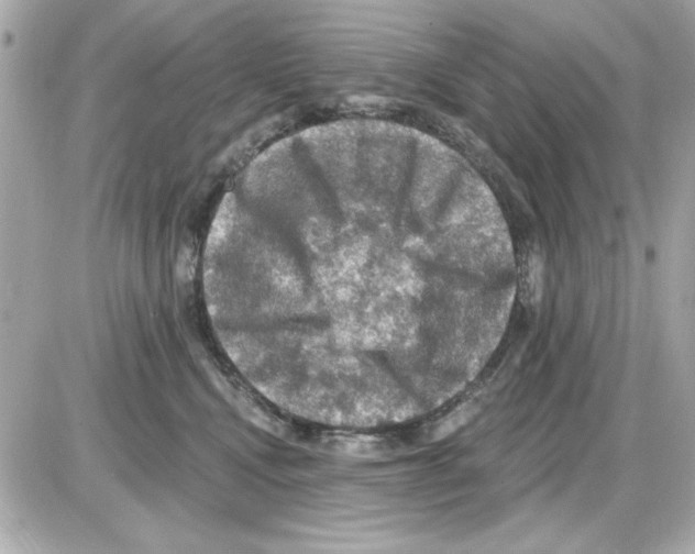 X0000085260472200704092119