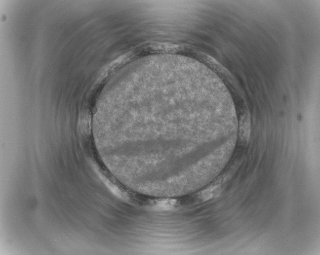 X0000085260474200704092119