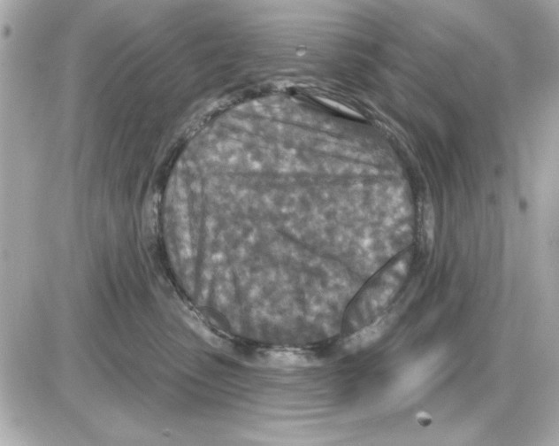 X0000085260475200704092119