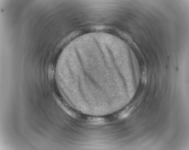 X0000085260476200704092119