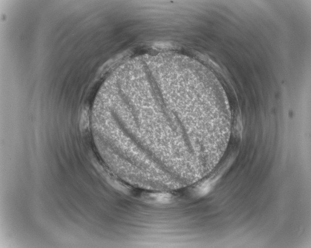 X0000085260478200704092119