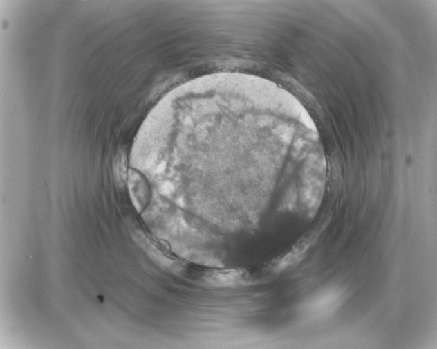 X0000085260479200704092119