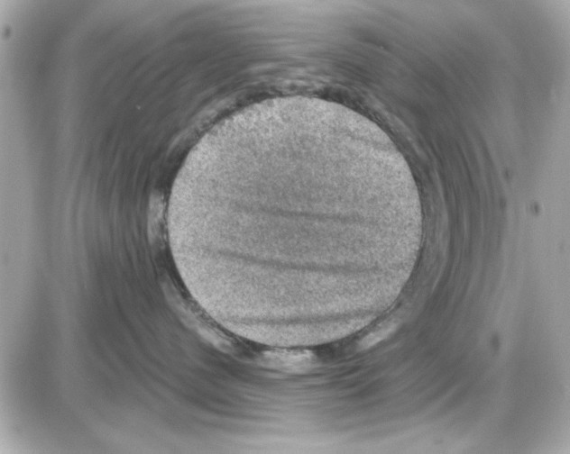 X0000085260480200704092119