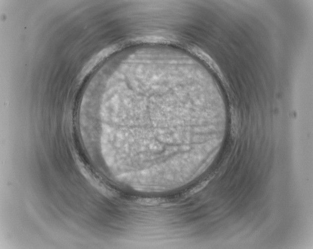 X0000085260482200704092118