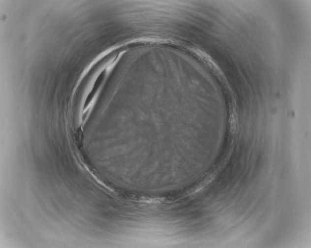 X0000085260484200704092118