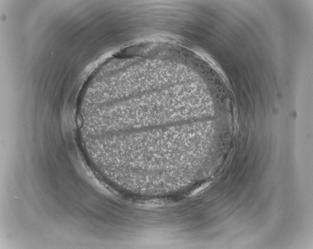 X0000085260485200704092118