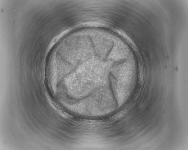 X0000085260486200704092118