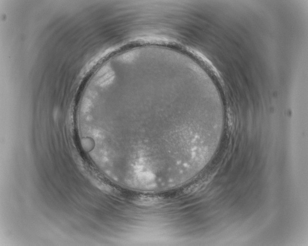 X0000085260487200704092118