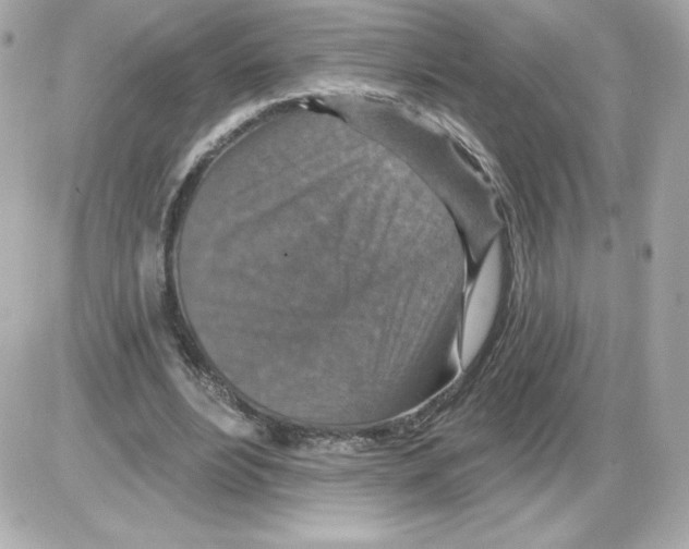 X0000085260488200704092118