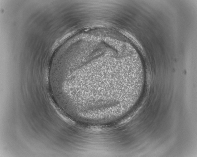 X0000085260489200704092118