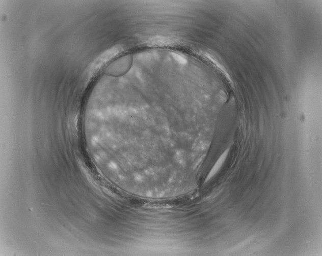 X0000085260491200704092118