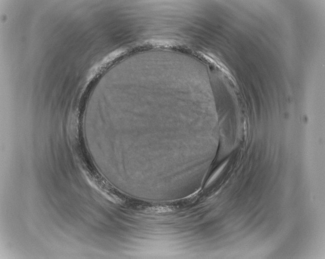 X0000085260492200704092118