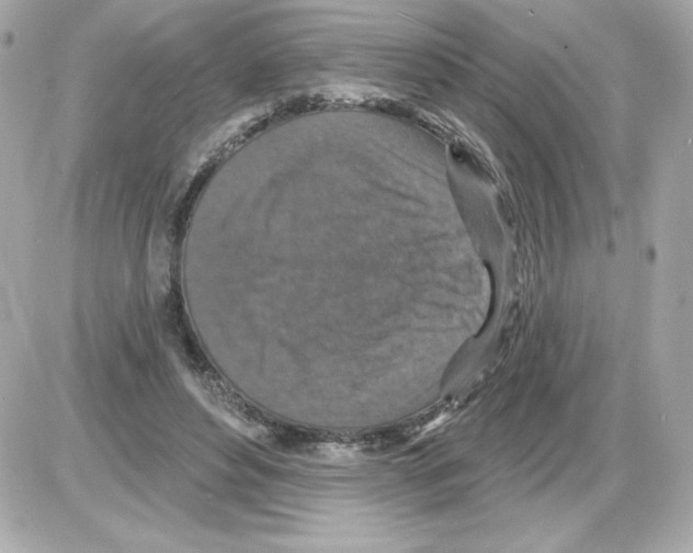 X0000085260496200704092118